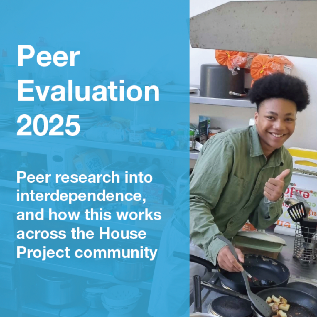 Peer Evaluation 2025